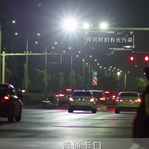 밝은 빛과 카메라 플래시는 빛 공해를 유발합니다 