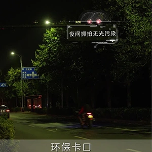 밝은 빛과 카메라 플래시는 빛 공해를 유발합니다 